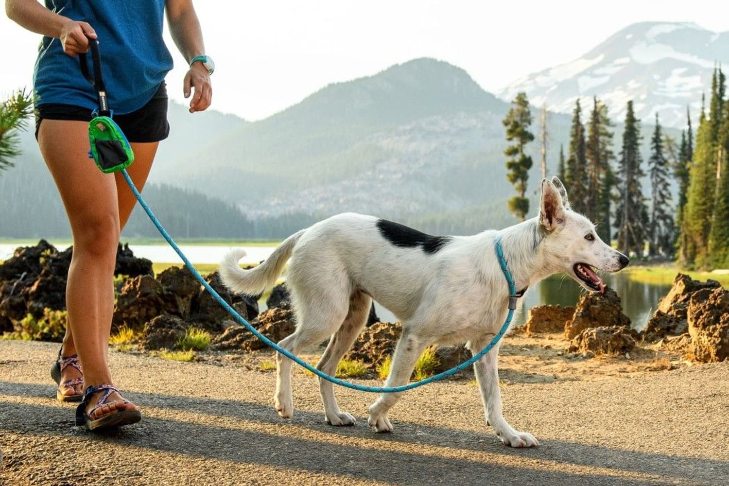 Just-a-Cinch Red Currant, view: 4