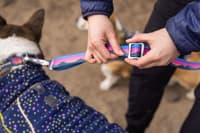 Crag Ex Leash Alpine Dawn - view: 1