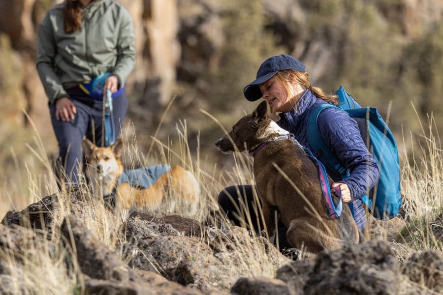 Crag Ex Leash Alpine Dusk, view: 13