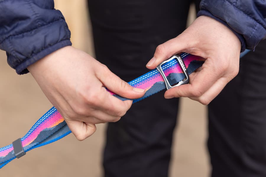 Crag Ex Leash Alpine Dawn, view: 10