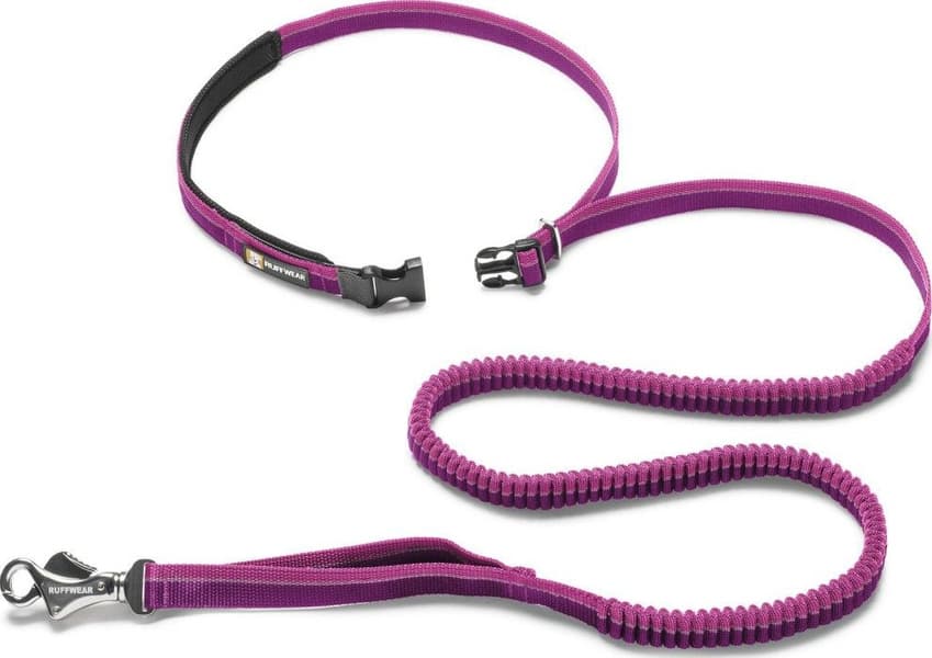 Roamer Leash Purple Dusk, view: 1