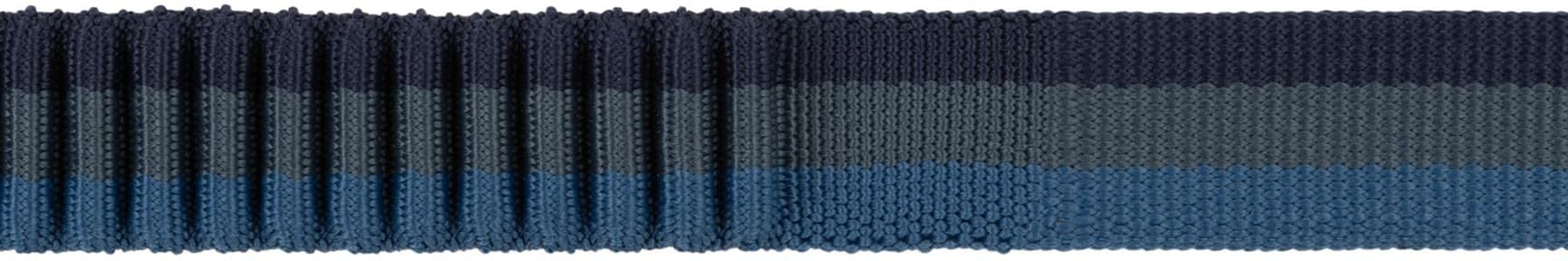 Roamer Leash Orion Blue, view: 5