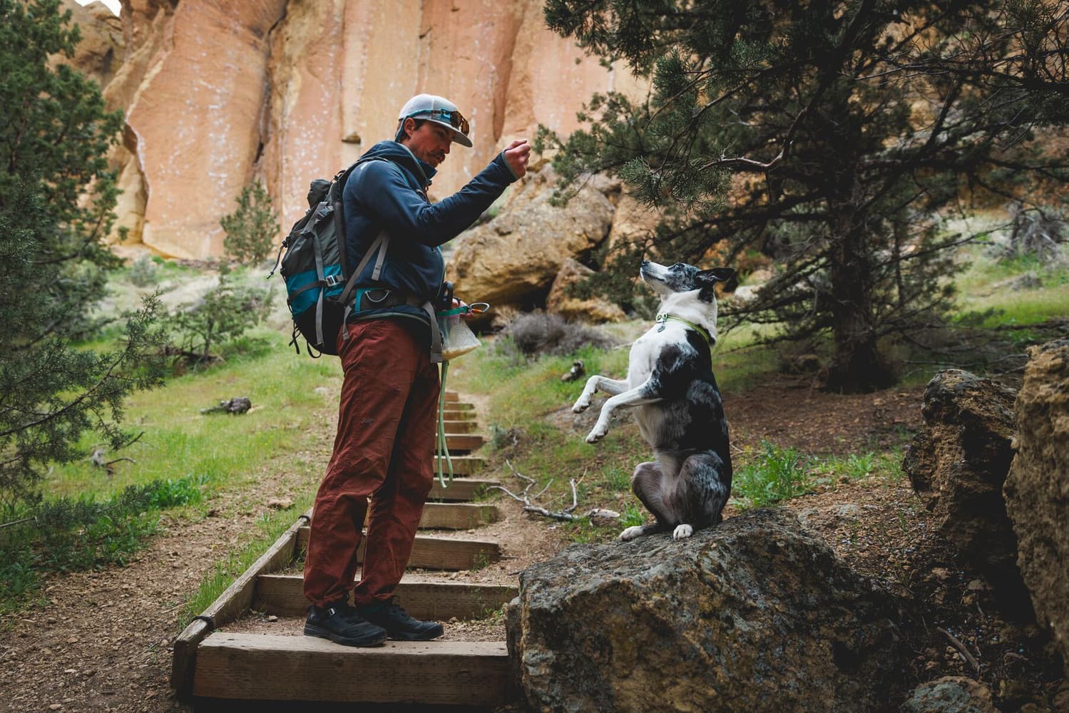 Knot-a-Collar Blue Pool, view: 4