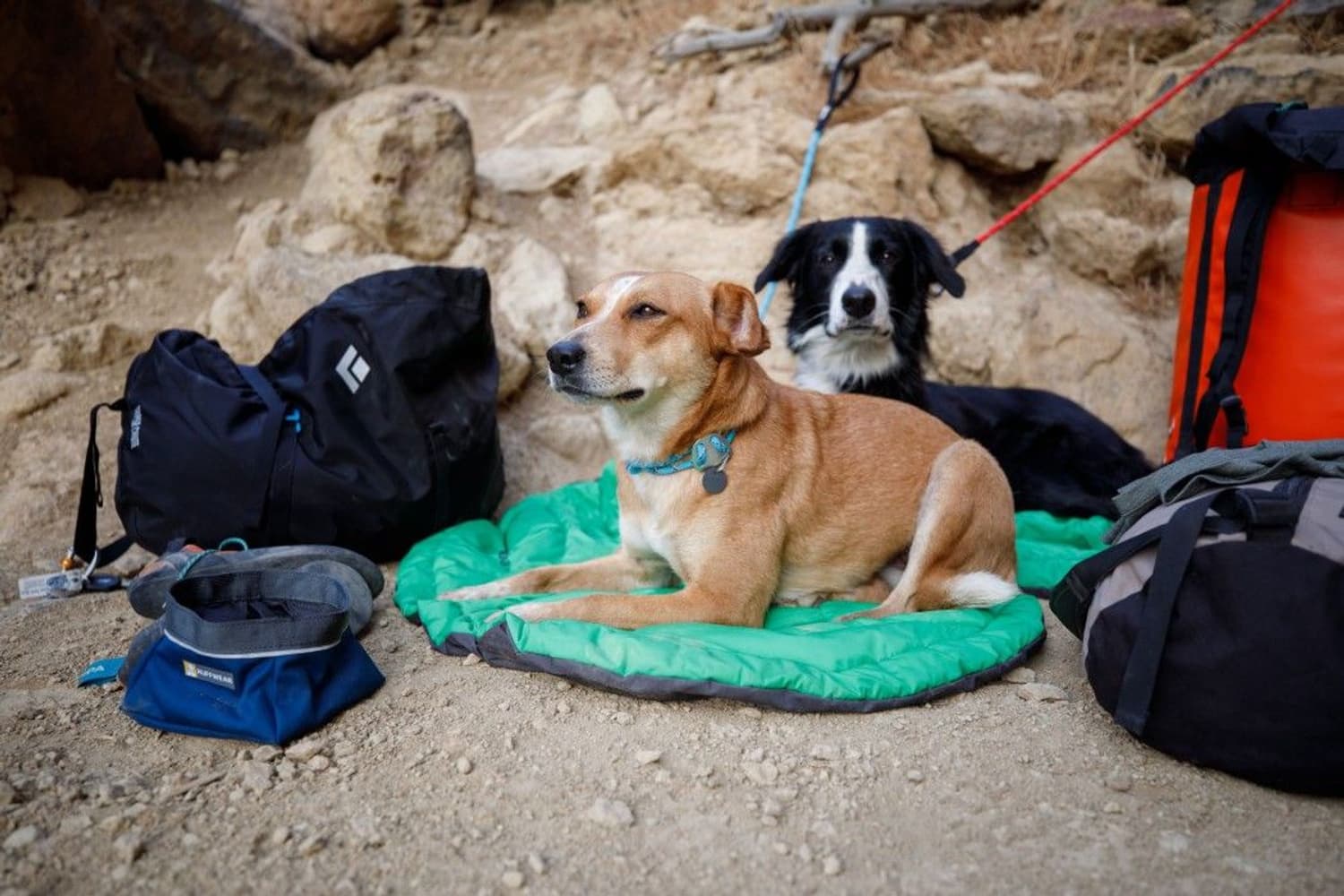 Knot-a-Collar Granite Gray, view: 3