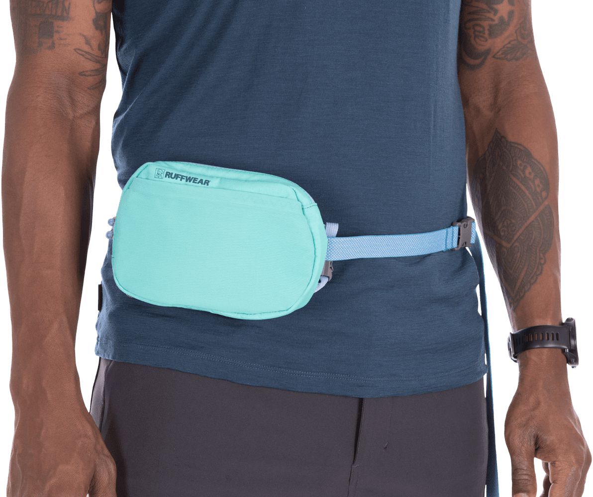 Stash Bag Plus Aurora Teal, view: 5