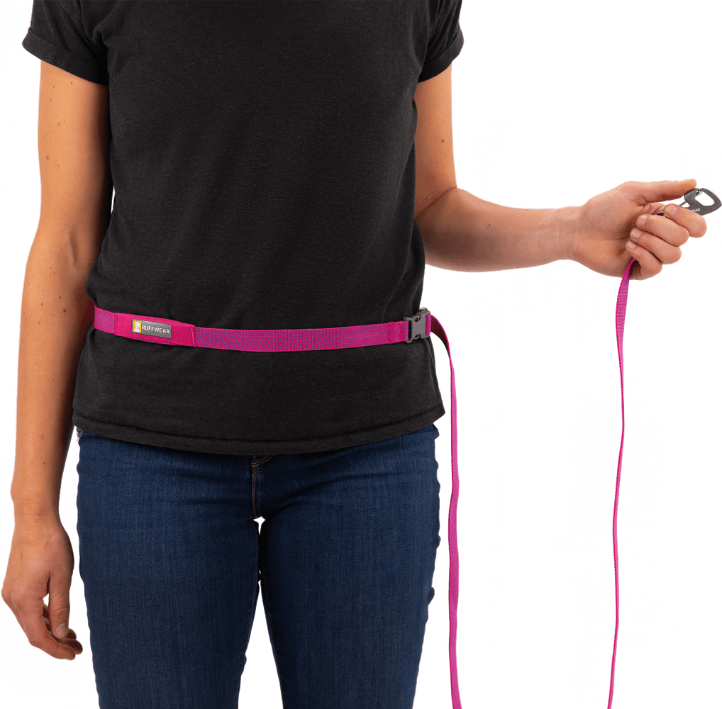 Flagline Leash Basalt Gray, view: 3