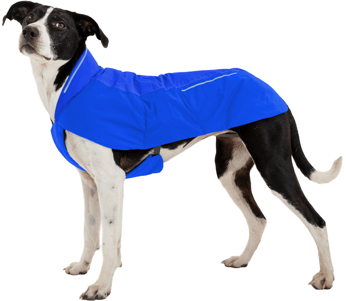 Vert Jacket M-XL Blue Pool, view: 5