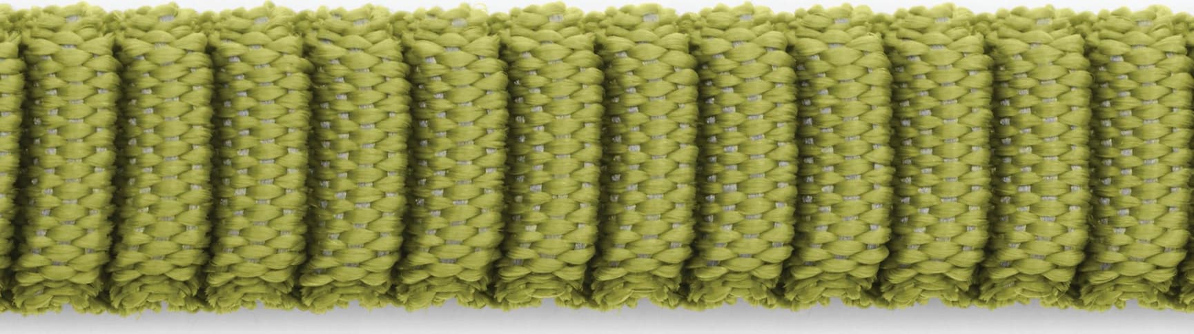 Ridgeline Leash Forest Green, view: 2