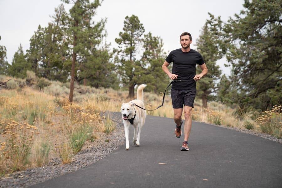 Switchbak Leash Basalt Gray, view: 8