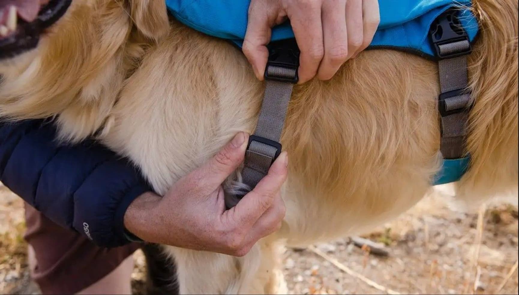 Singletrak Pack Blue Dusk, view: 5