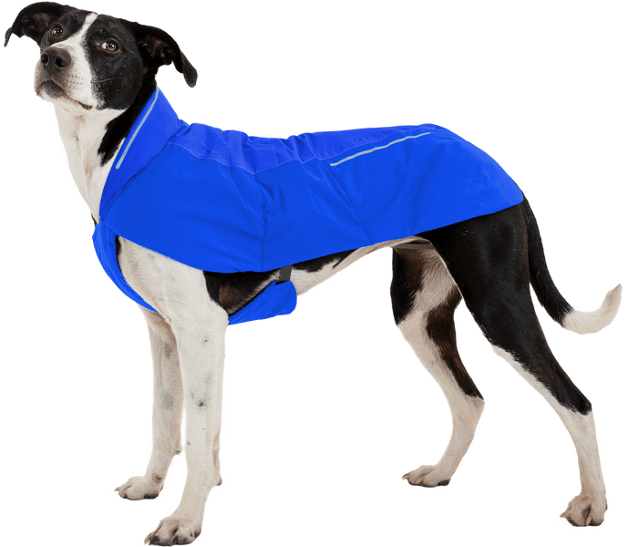 Vert Jacket XXS-S Blue Pool, view: 5