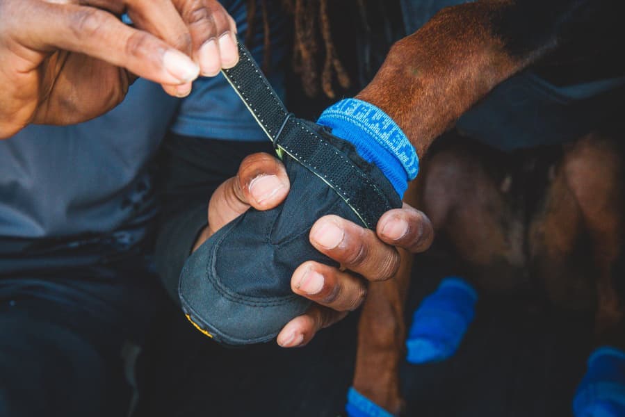 Summit Trex Shoe Obsidian Black, productDetailPage.view: 5