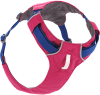 Hi & Light Harness Alpenglow Pink - view: 0