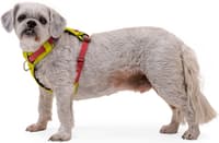 Hi & Light Harness Basalt Gray - view: 5