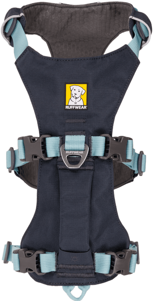 Flagline Harness Basalt Gray, view: 4