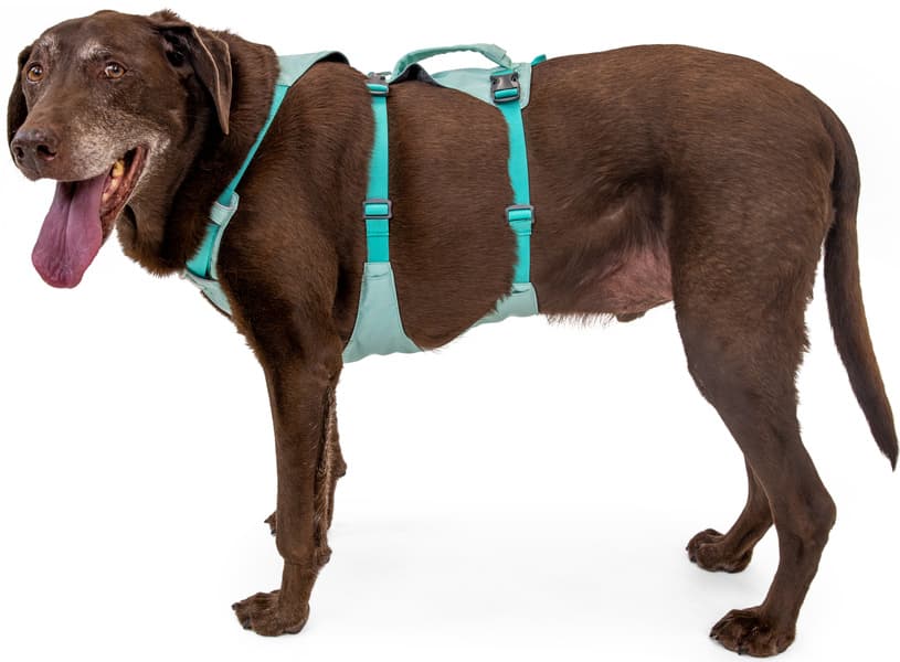 Flagline Harness Basalt Gray, view: 8