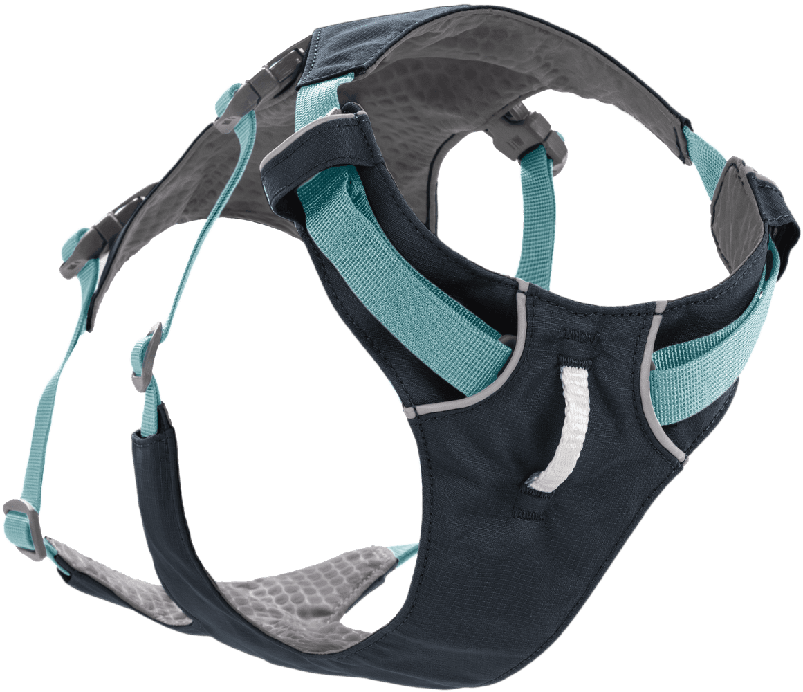 Flagline Harness Basalt Gray, view: 0