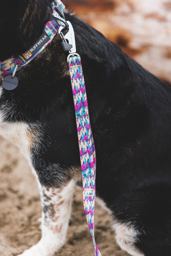 Front Range Leash Mountains Logo, view: 4