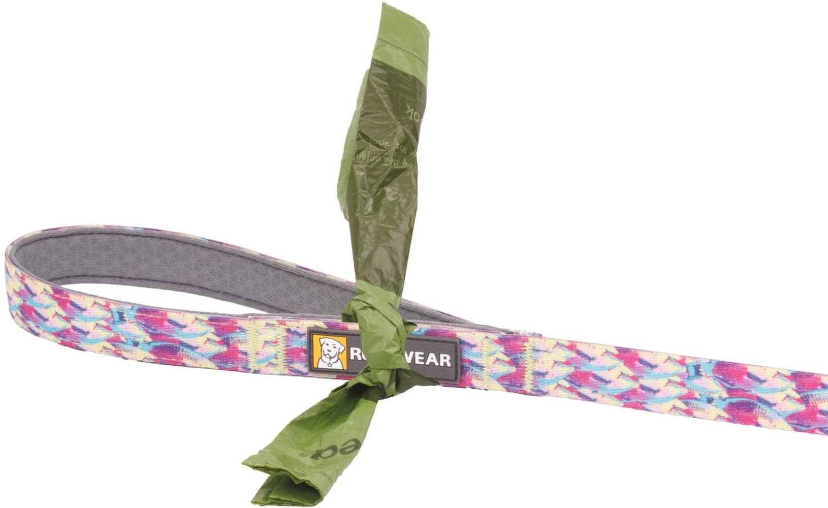 Front Range Leash Reef Fish, view: 1