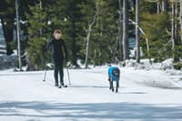 Vert Coverall M-XL Blue Pool - view: 1