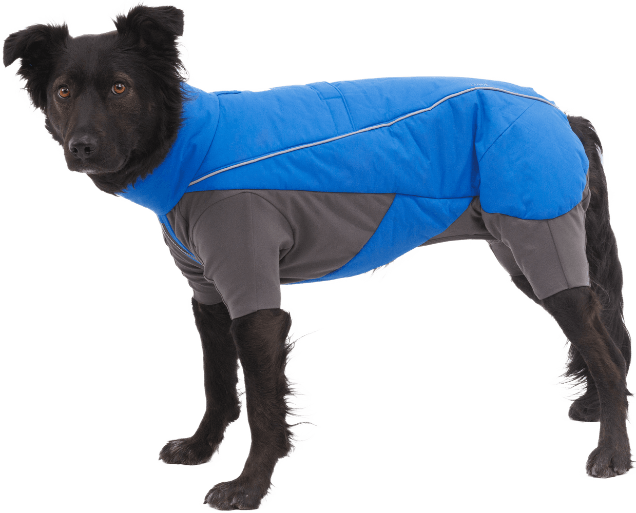 Vert Coverall M-XL Blue Pool, view: 3