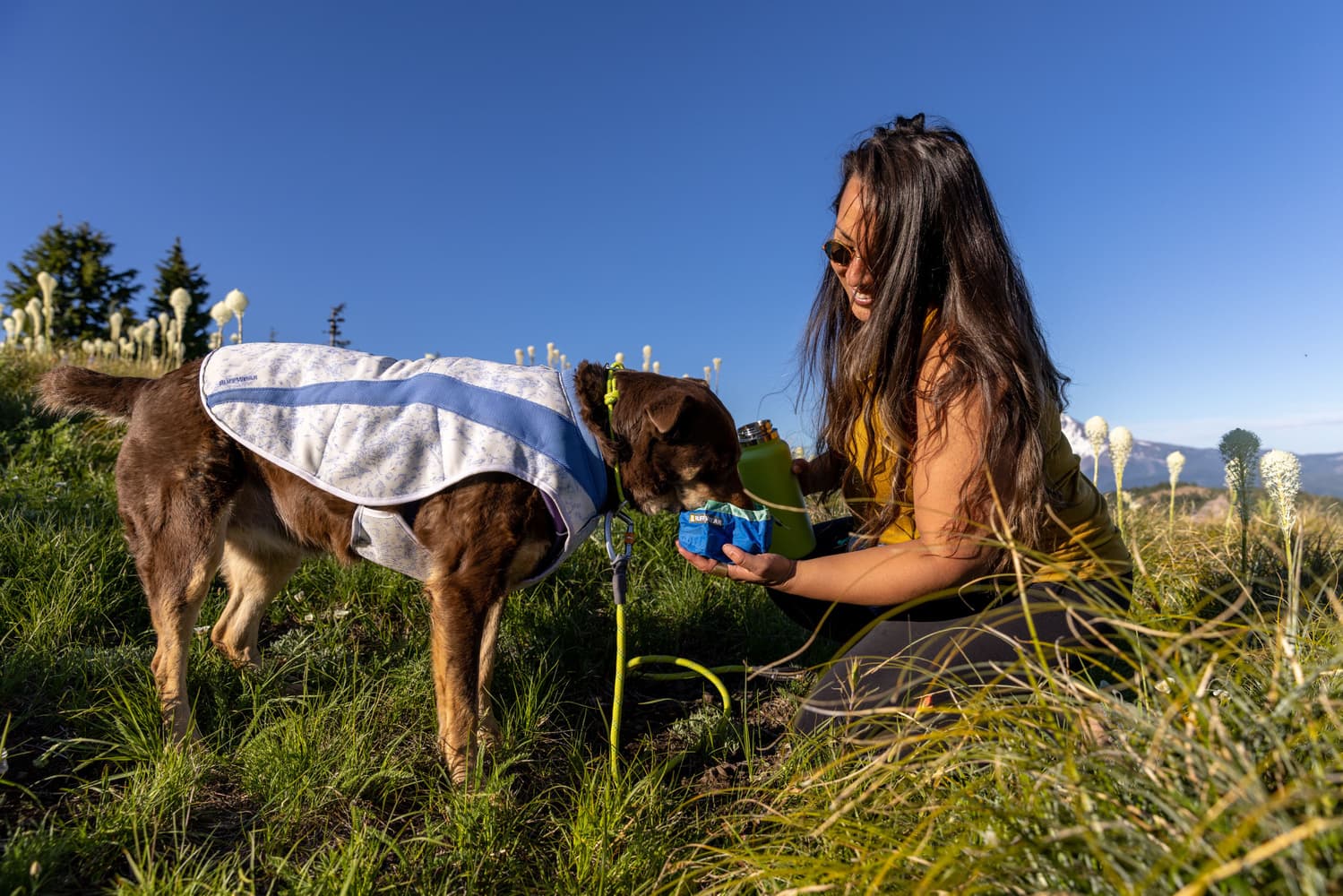 Trail Runner Bowl Blue Pool, view: 7