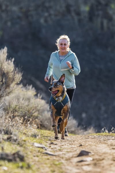 Stumptown Jacket Orion Blue, view: 12