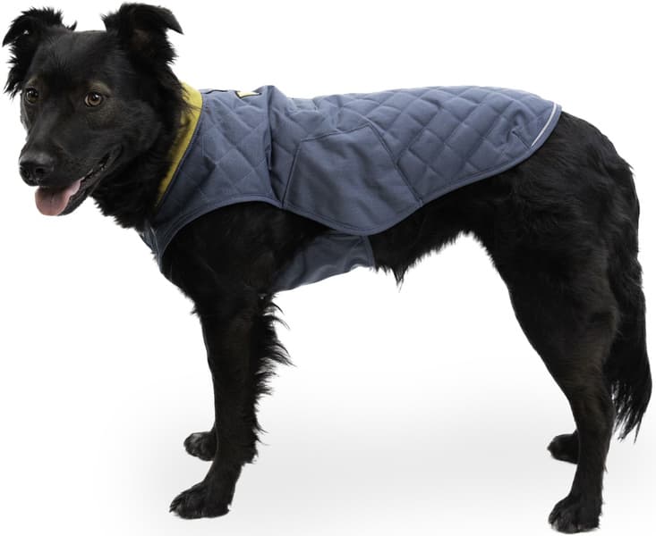 Stumptown Jacket Orion Blue, view: 8