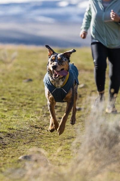 Stumptown Jacket Orion Blue, view: 1