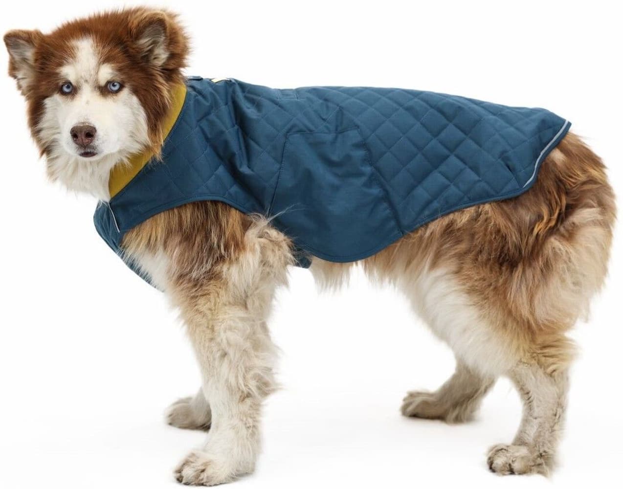 Stumptown Jacket Orion Blue, view: 10
