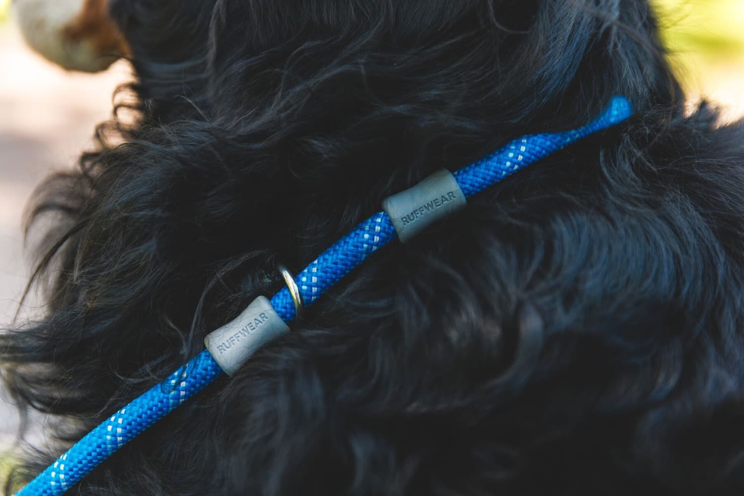 Just-a-Cinch Leash Blue Pool, view: 7