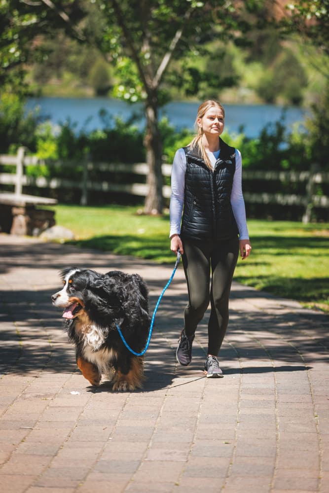 Just-a-Cinch Leash Blue Pool, view: 9