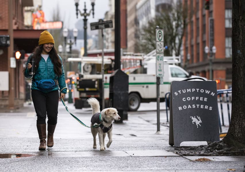 Home Trail Hip Pack Red Sumac, view: 8