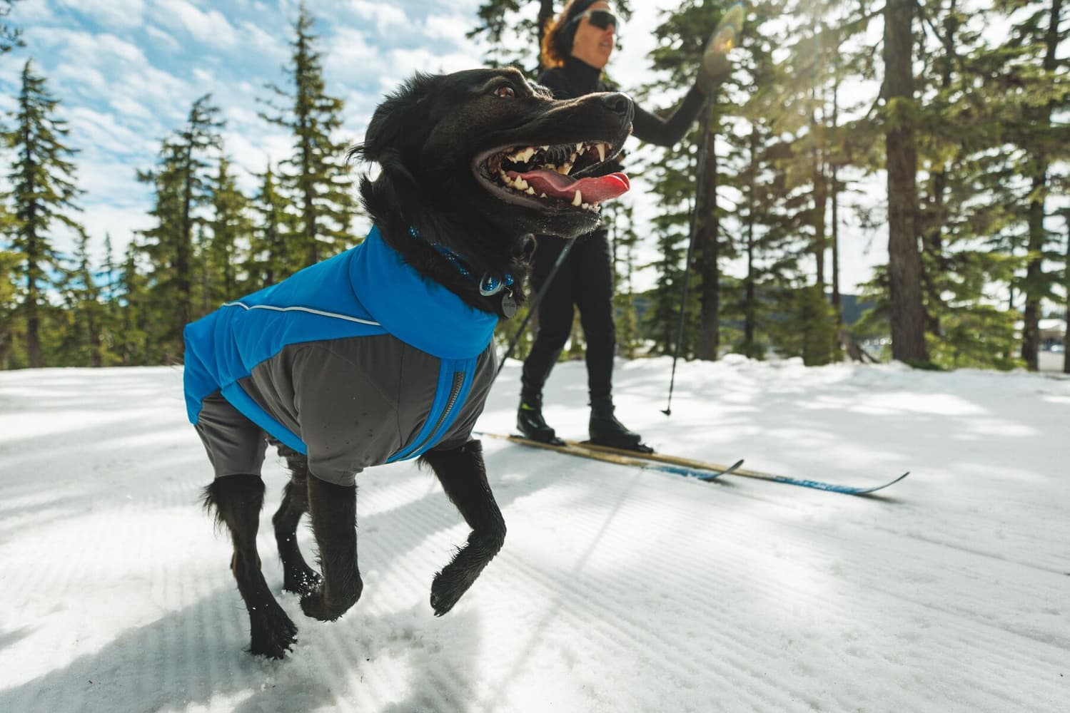 Vert Coverall XXS-S Blue Pool, view: 9