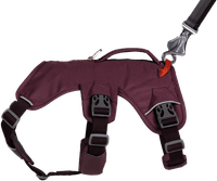 Web Master Harness Purple Rain - view: 4