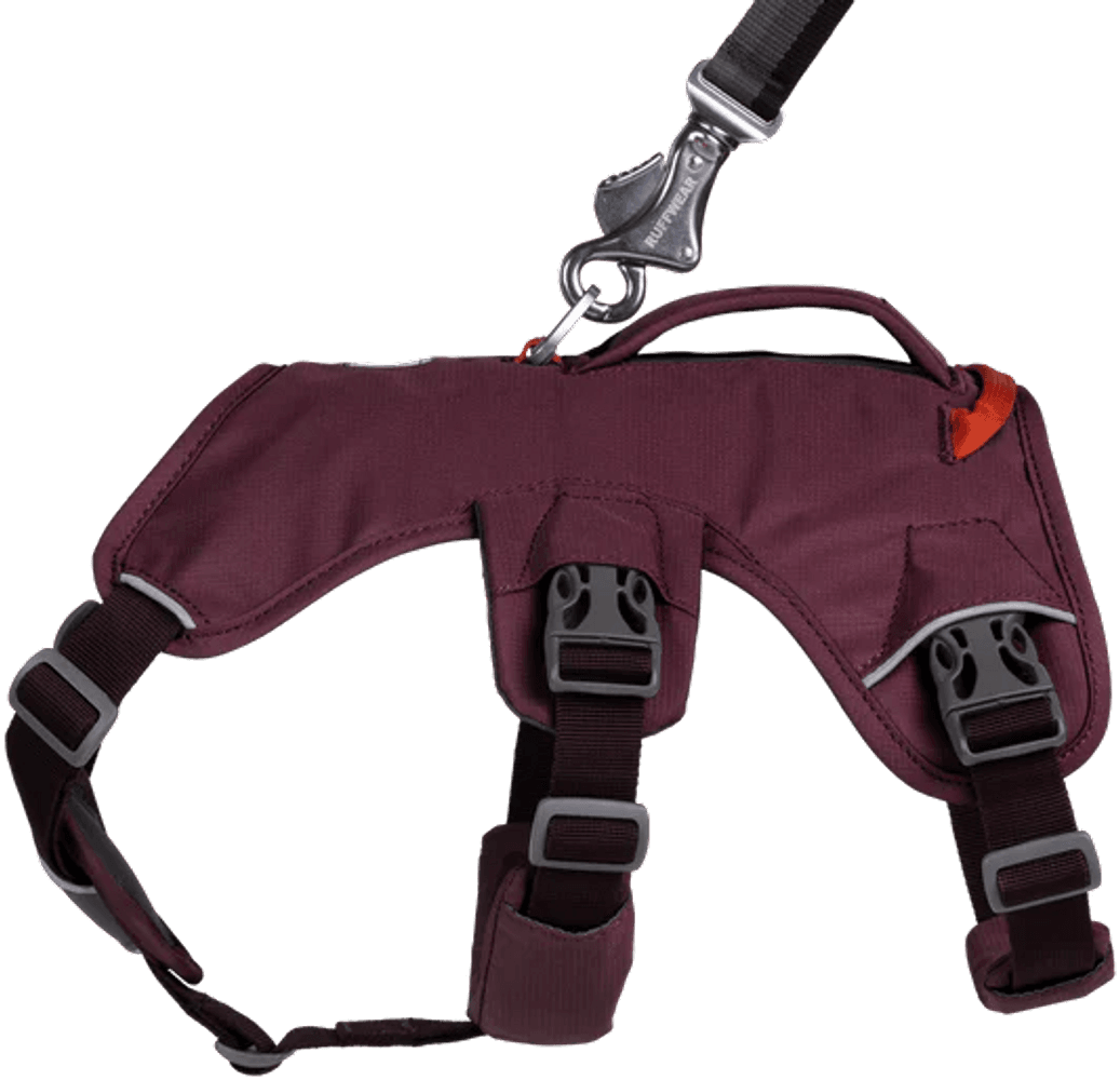 Web Master Harness Purple Rain, view: 3