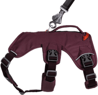 Web Master Harness Purple Rain - view: 3