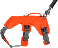 Web Master Harness Blaze Orange - view: 3