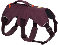 Web Master Harness Purple Rain - view: 0