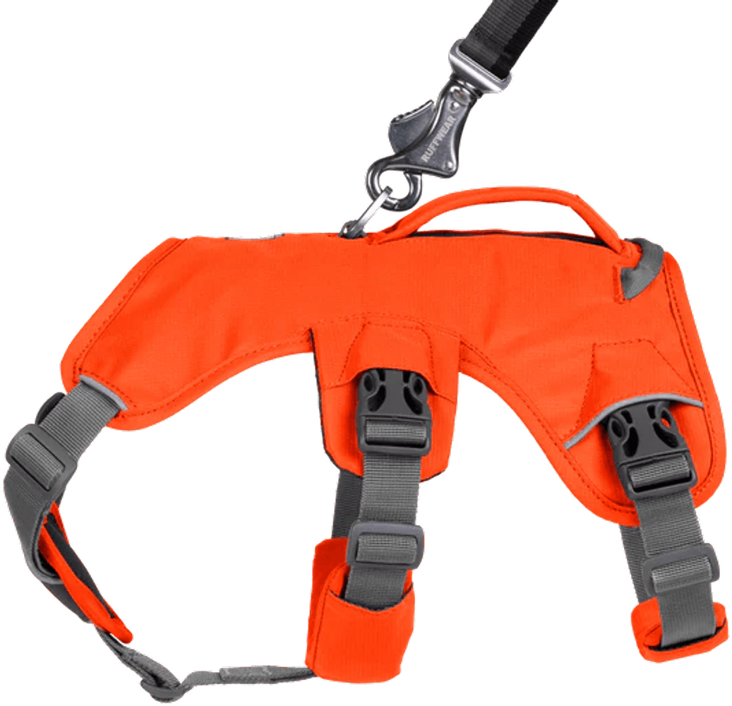 Web Master Harness Blaze Orange, view: 4