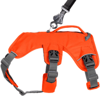 Web Master Harness Blaze Orange - view: 4