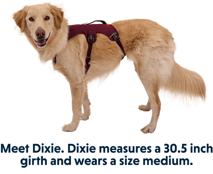 Produktbilde