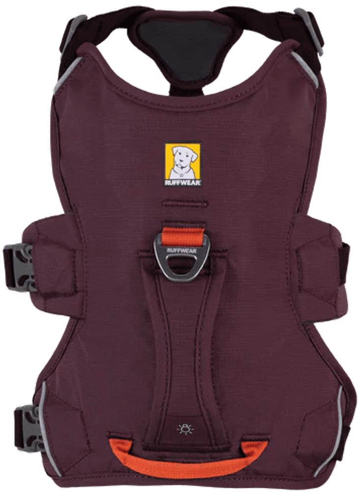 Web Master Harness Purple Rain, view: 2