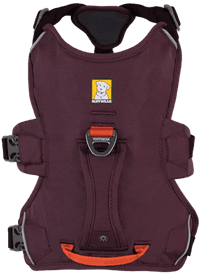 Web Master Harness Purple Rain - view: 2