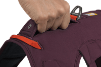 Web Master Harness Purple Rain - view: 5