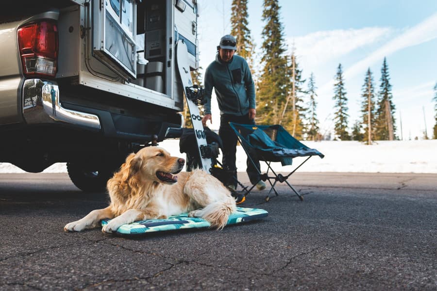 Basecamp Bed Medium Sweeping Sage, view: 4
