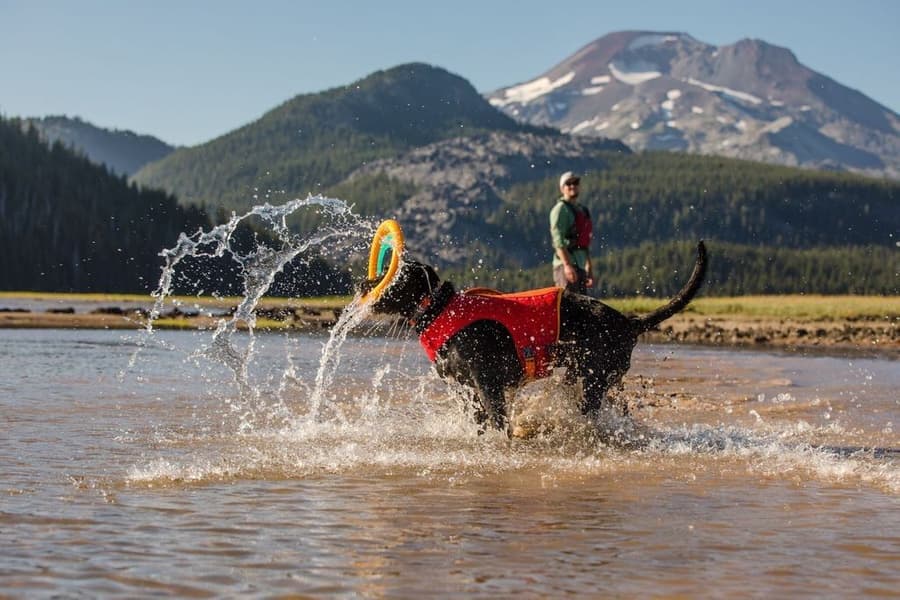 Ruffwear Float Coat Red Sumac, view: 7