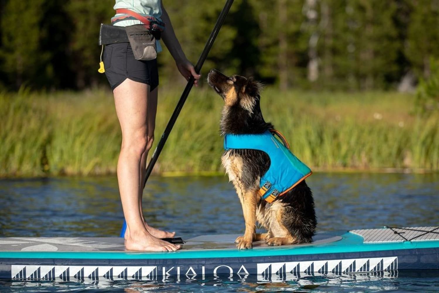 Ruffwear Float Coat Blue Dusk, view: 7