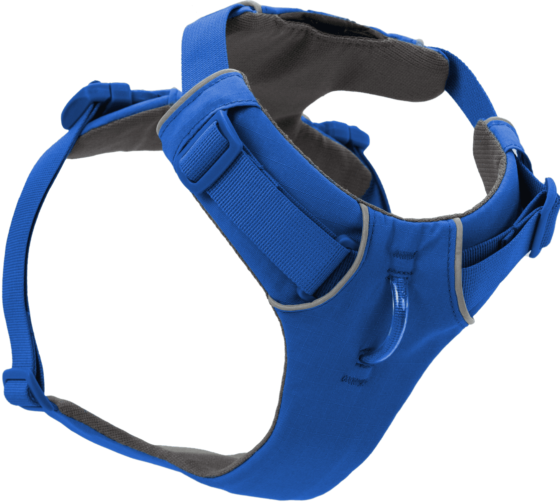 Front Range Harness Blue Pool, view: 0