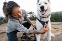 Front Range Harness Basalt Gray - view: 1